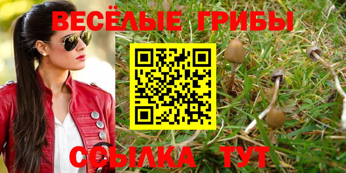 Псилоцибиновые грибы ЛСД  Вход с VPN  Коркино 