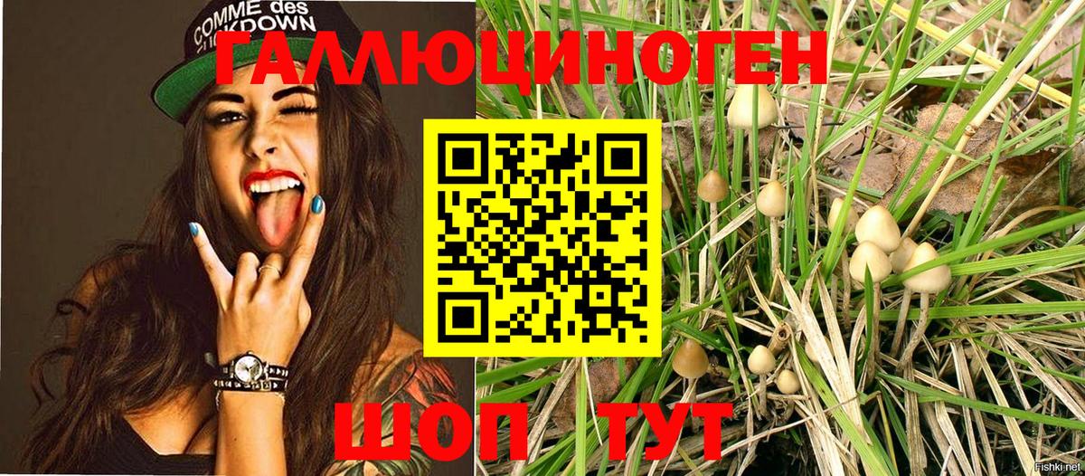 Галлюциногенные грибы мухоморы Коркино